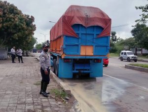 IMG_20240312_220121-3-768x581-1