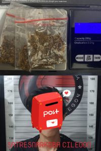 WhatsApp Image 2024-09-01 at 11.42.38