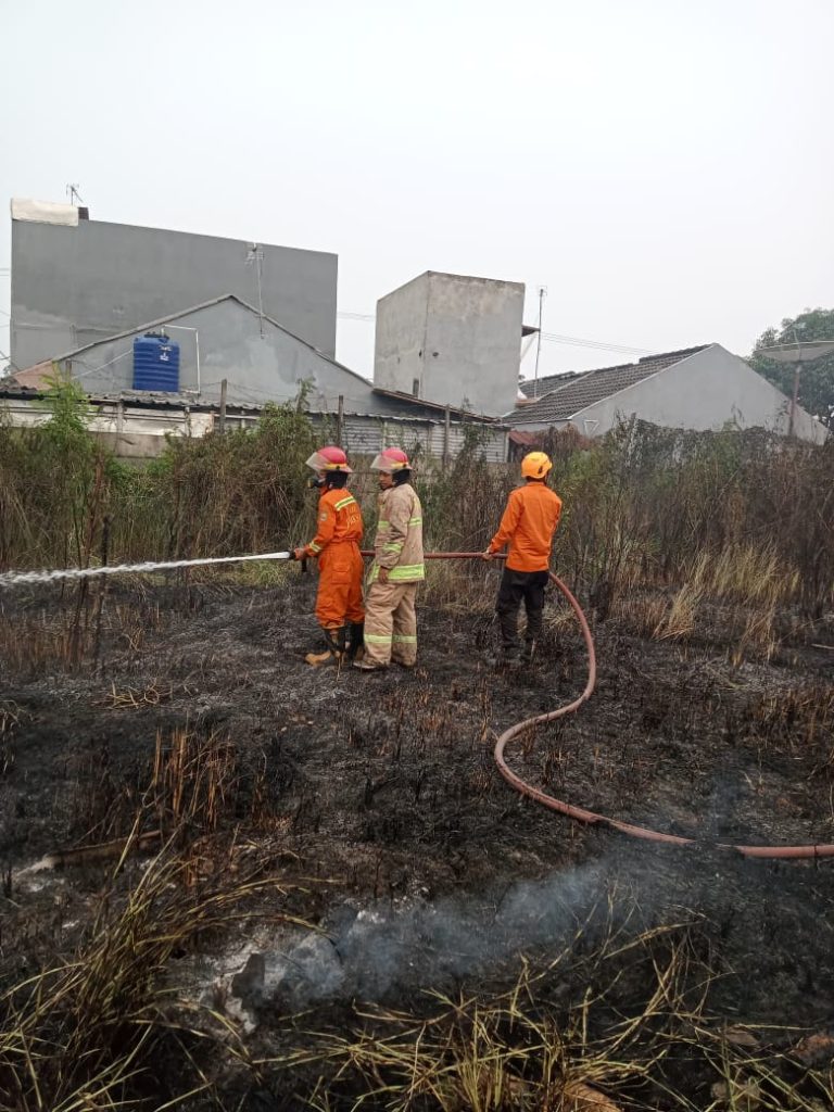 Diduga Akibat Pembakaran Sampah, BPBD Cilegon Bantu Padamkan Karhutla di Gedong Dalem