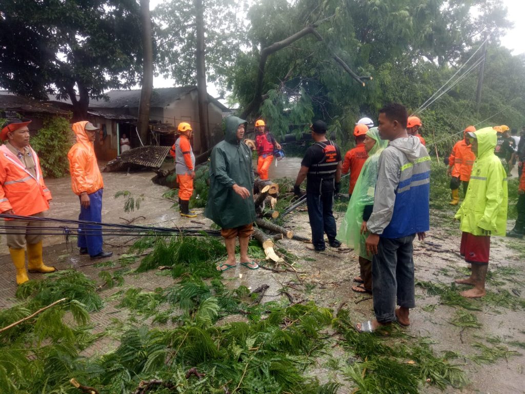 Pohon Tumbang Di Jalan Nyikambang Kelurahan Sukmajaya, Timpa Kabel Listrik